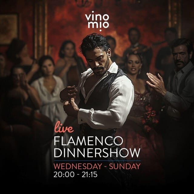 Malaga: Authentic Flamenco Dinner Show at Restaurant VinoMio - The Location and Accessibility