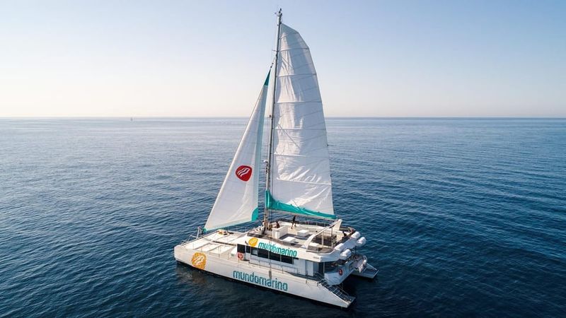 Malaga: Catamaran Sailing Cruise with Swimming & Optional DJ - Onboard bar service: drinks, sangria, and fair pricing