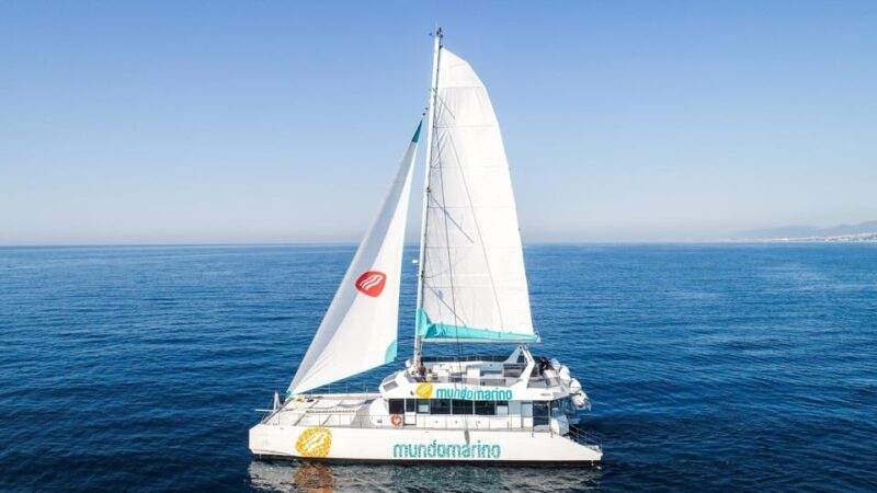 Malaga: Catamaran Sailing Trip with Sunset Option - Who Should Consider This Experience?
