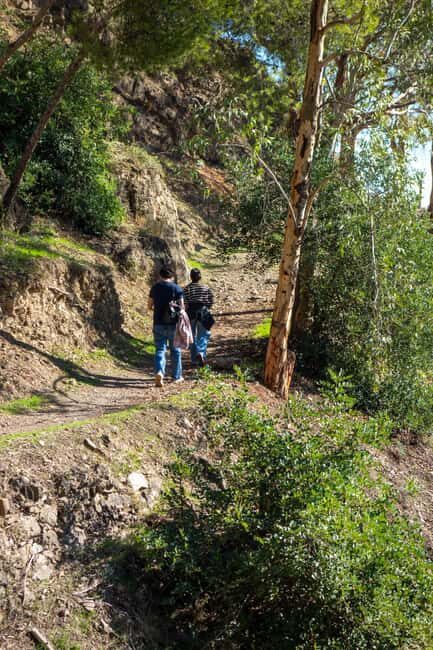 Málaga: City Hike in Málaga with Gibralfaro Mountain - Who Should Consider This Tour?