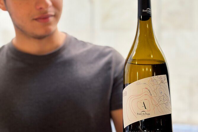 Malaga City Wine Tour - The Experience: What to Expect