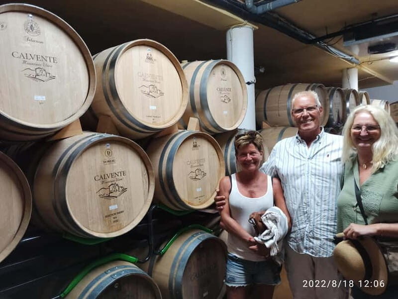 Malaga & Granada: Wine Tasting and Tapas with Resort Pickup - What Makes This Tour Stand Out