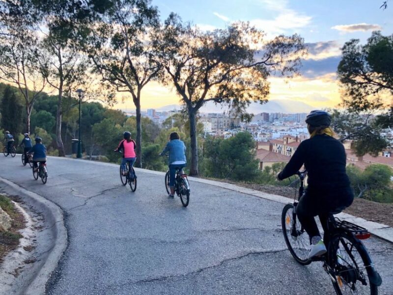 Malaga: Guided E-Bike Tour - Who Should Consider This Tour?