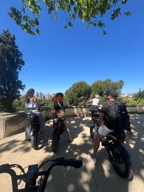 Malaga: Guided E-Fatbike Tour with Panoramic Views - Final Thoughts