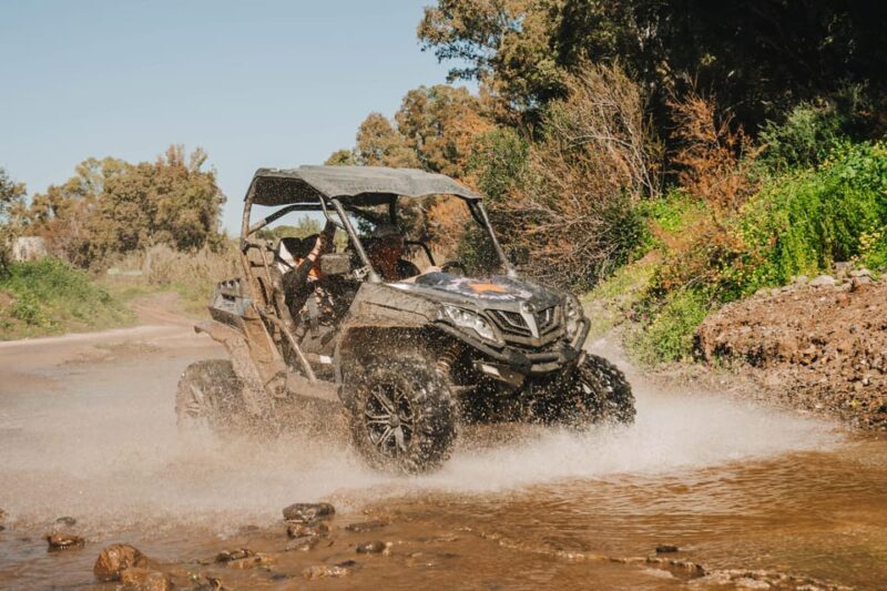 Málaga: Guided Off-Road Buggy Tour in Mijas (2 or 4 Seater) - Practical Details and Considerations