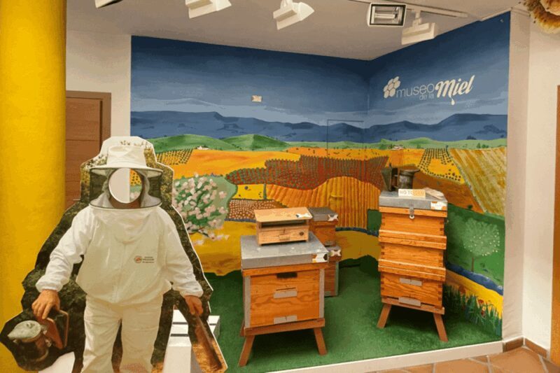 Malaga: Honey Museum Entry Ticket - A Closer Look at the Malaga Honey Museum Experience