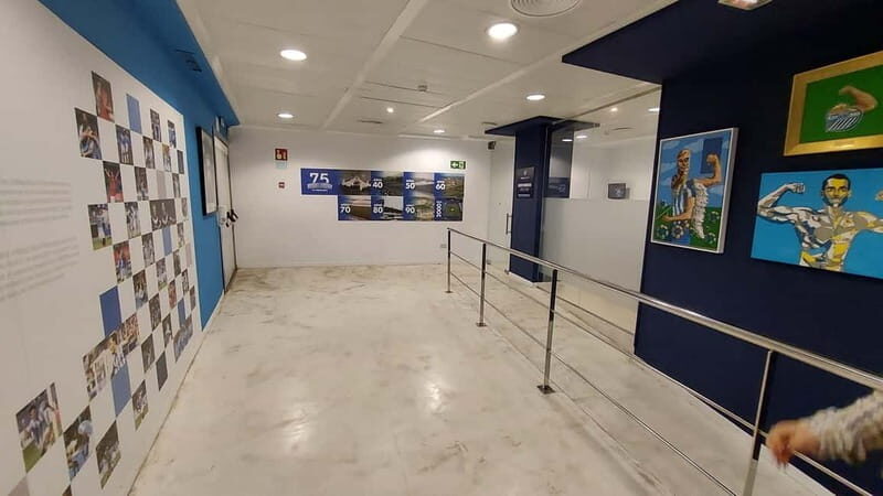 Málaga: La Rosaleda Stadium and Museum Guided Tour - The Details of the Experience