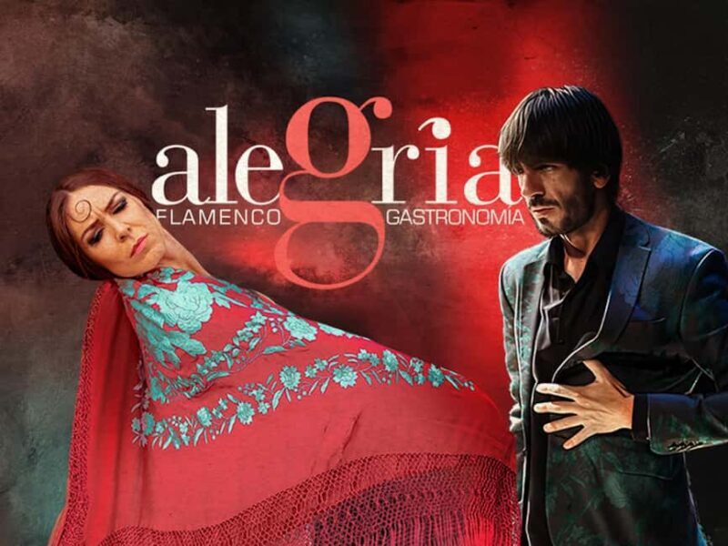 Málaga: Live Flamenco Show at Flamenco Alegría - Why You Should Consider This Flamenco Show