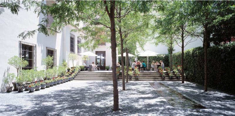 Málaga: Museo Picasso Málaga Entry Ticket - Temporary exhibitions included: what’s on during your ticket window