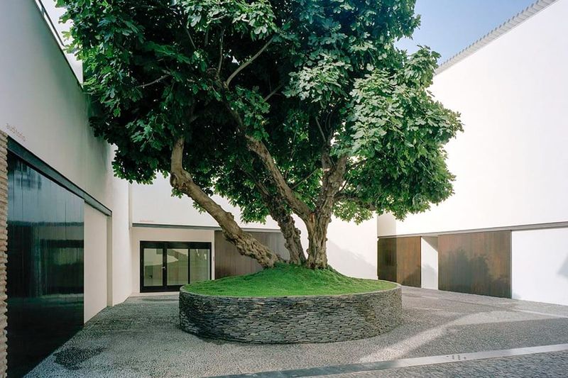 Málaga: Museo Picasso Málaga Entry Ticket - Cafe break in the garden courtyard: where to recharge