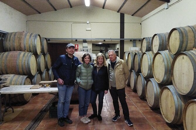 Malaga Organic Vineyard and Winery Six Wines Tapas and Transfer - Where this tour fits best in your Málaga plans