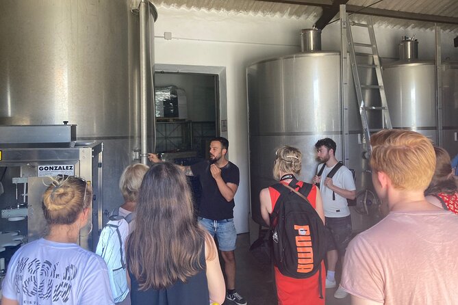 Malaga Organic Vineyard and Winery Six Wines Tapas and Transfer - The ride you actually learn from: wine history and Antonio’s story