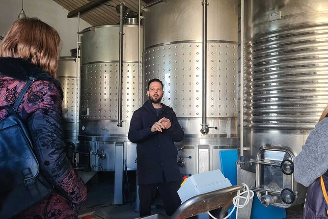 Malaga Organic Vineyard and Winery Six Wines Tapas and Transfer - Back to earth: the Bodega Malvajio garage winery tasting