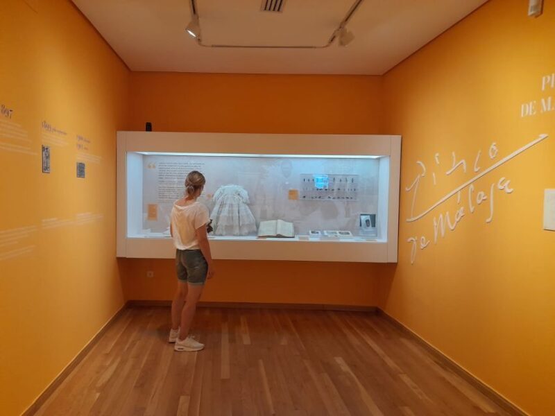 Malaga: Picassos Birthplace Museum Entrance Ticket - What to Expect at Picasso’s Birthplace Museum in Malaga