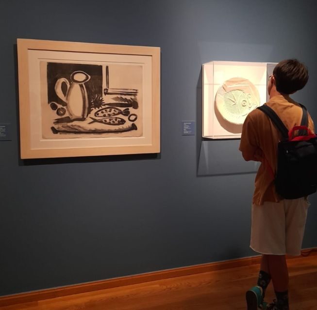 Malaga: Picassos Birthplace Museum Entrance Ticket - The Experience Itself: Highlights and Considerations