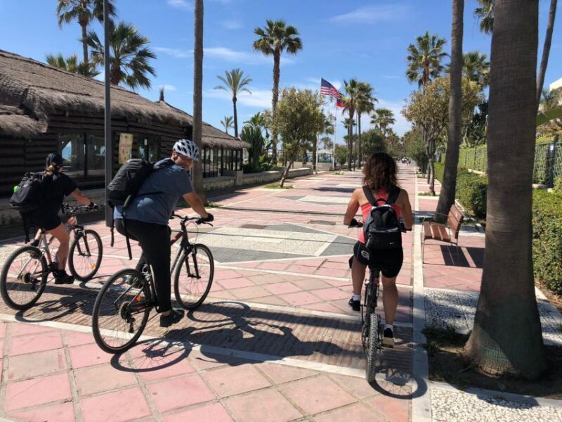 Malaga: Premium Guided Bike Tour - What To Consider Before Booking