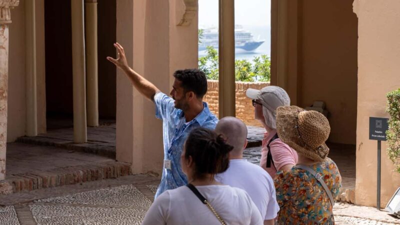 Málaga Private Walking Tour, Roman Theater, and Alcazaba with Tickets - Who Should Consider This Tour?