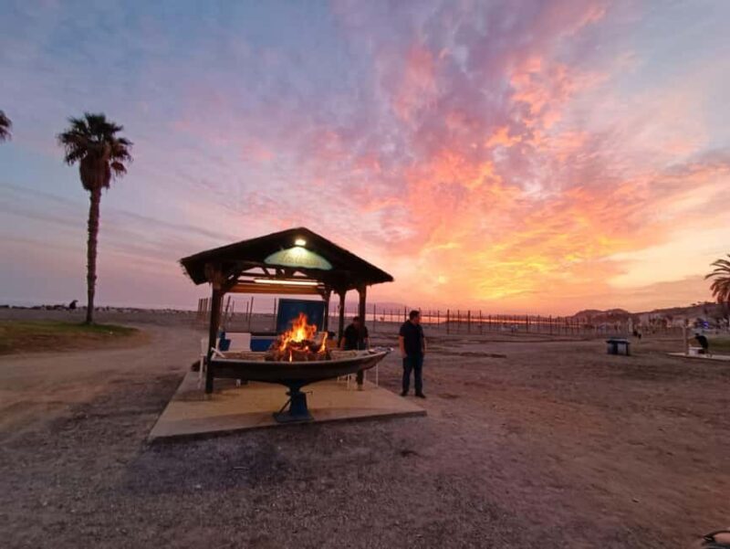 Malaga: Sardines On Skewers Show Cooking on the Beach - Key Points