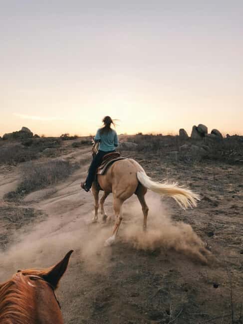 Malaga, Spain: 6-Hour Horseback Adventure with Picnic - What to Expect During the Day