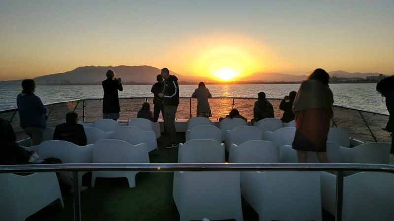 Málaga: Sunset Catamaran Trip - The Skyline Moment: Watching Malaga From Sea Level