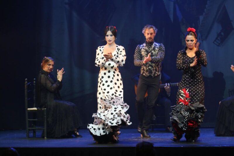 Malaga: Teatro Flamenco Malaga Live Flamenco Show - Final Thoughts