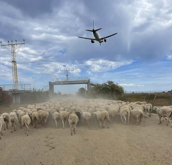 Málaga: Tour 2-Hours Solo All-Terrain Quad Adventure - Final Thoughts: Is This Tour for You?