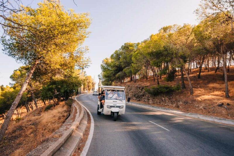 Málaga: Tuktuk Tour with Views and Espeto de Sardinas - Key Points