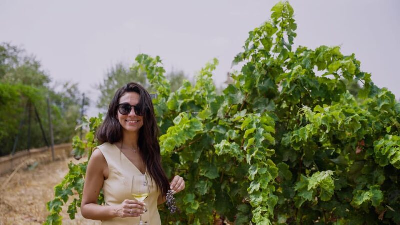 Malaga: Vineyard and Cellar Visit with 6 Top Wines and tapas - Key Points