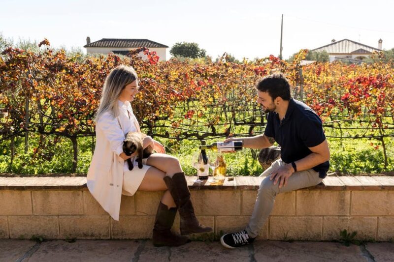Malaga: Vineyard and Cellar Visit with 6 Top Wines and tapas - What Makes This Tour Stand Out?