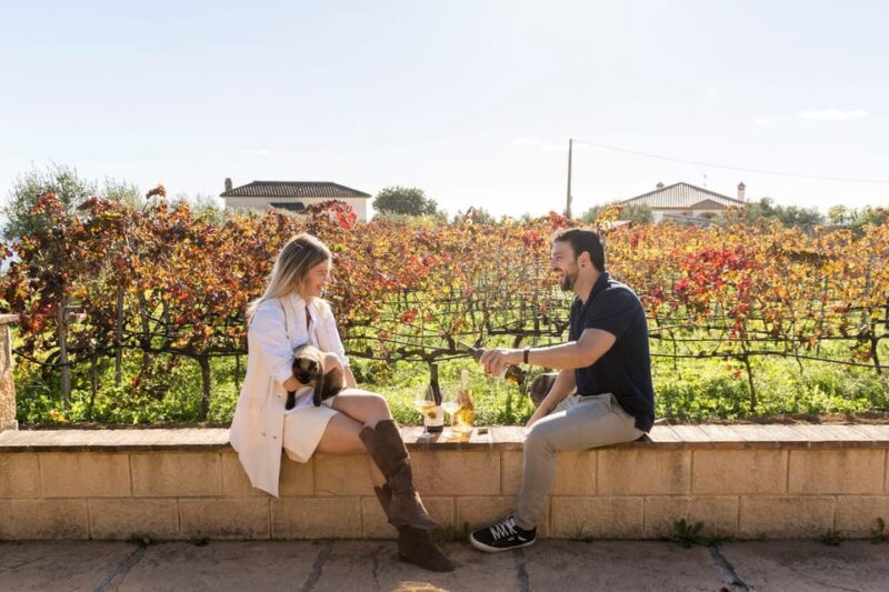 Malaga: Vineyard and Cellar Visit with 6 Top Wines and tapas - Is This Tour Worth the Price?