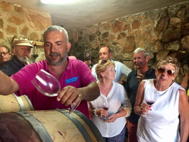 Malaga: Vineyard and Cellar Visit with 6 Top Wines and tapas - FAQ