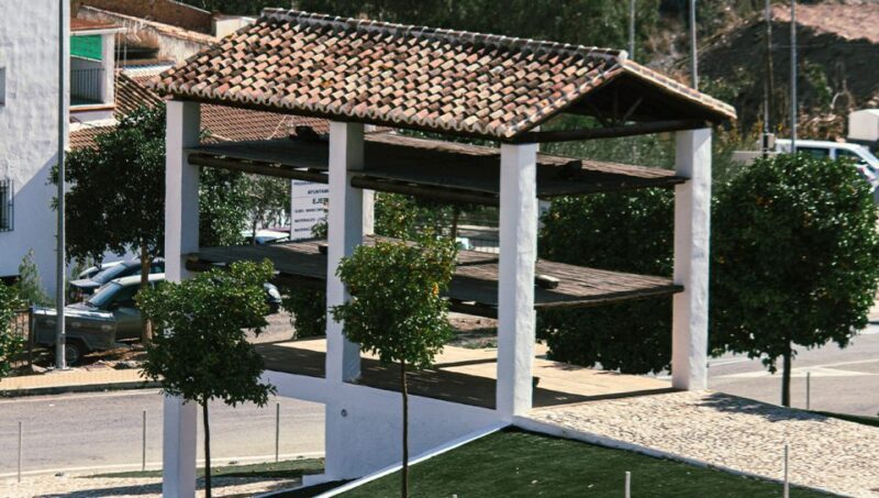 Malaga: White Village, Vineyard, and Wine Tasting Wine Tour - Vineyard Visit and Learning About Winemaking