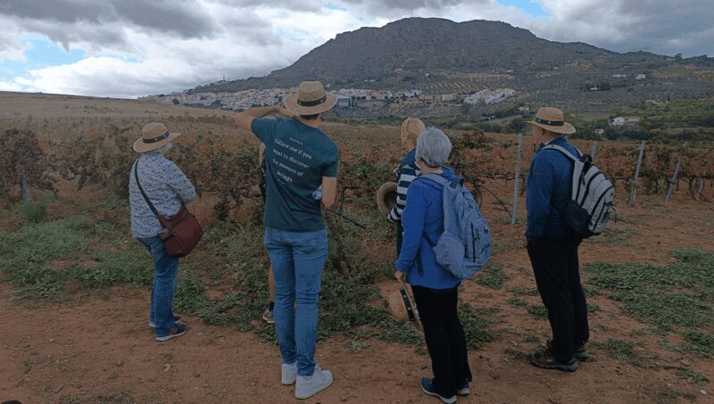 Malaga: White Village, Vineyard, and Wine Tasting Wine Tour - Lunch, Shopping, and Cultural Charm