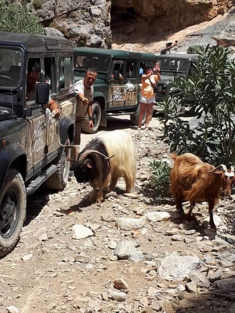 MALIA: East Crete Famous Places (Family and Child Friendly) - Exploring Crete’s East: What This Tour Offers