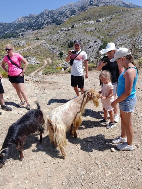 MALIA: Land rover Safari Lasithi Plateau and Zeus Cave - FAQ
