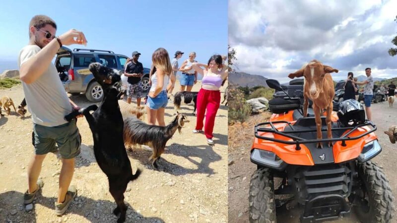 Malia: Off-Road Quad Safari Tour with Lunch and Transfers - Exploring Crete on Quads: What’s the Experience Like?