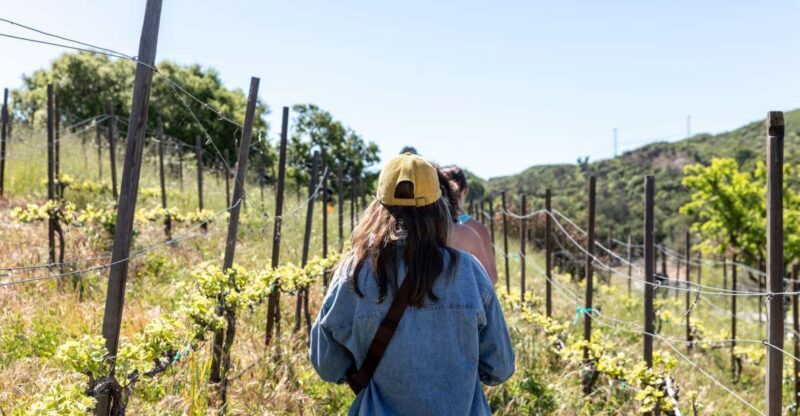 Malibu: Guided Vineyard Hike with Photo Stops and Wine - A Closer Look at the Malibu Vineyard Hike