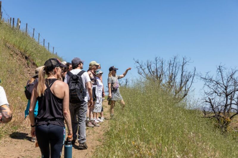 Malibu: Guided Vineyard Hike with Photo Stops and Wine - FAQ