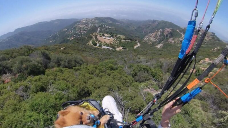 Malibu Hills to Beach: Tandem Paragliding Flight Adventure - Who Should Consider This Experience