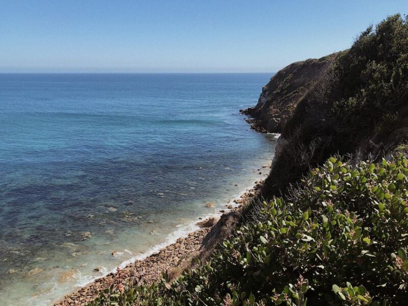 Malibu: Vintage VW Sightseeing Tour and Wine Tasting - FAQ