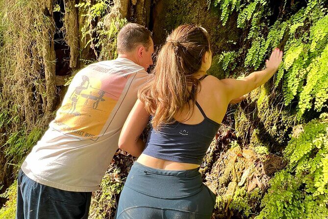 Malibu Waterfall eMTB & Hiking Adventure (Beginner) - The Experience Breakdown