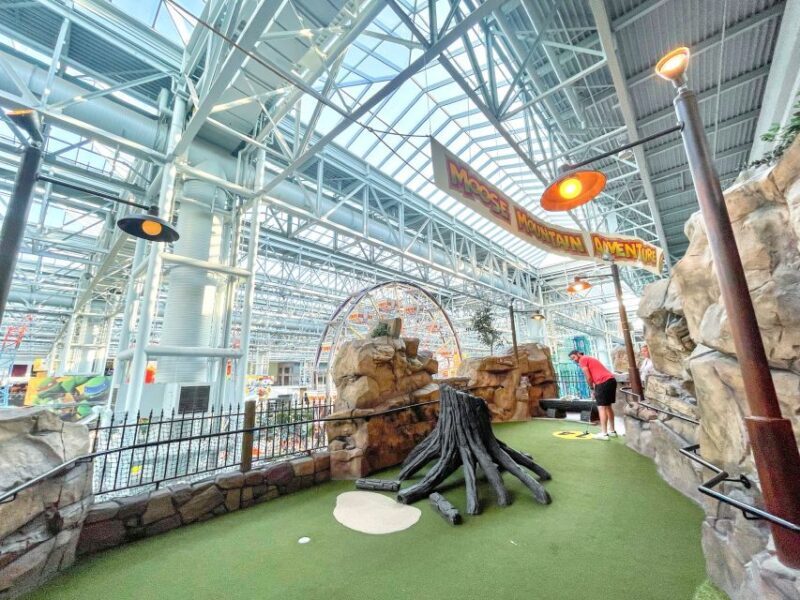 Mall of America: Moose Mountain Adventure Golf Ticket - Accessibility and Family-Friendliness