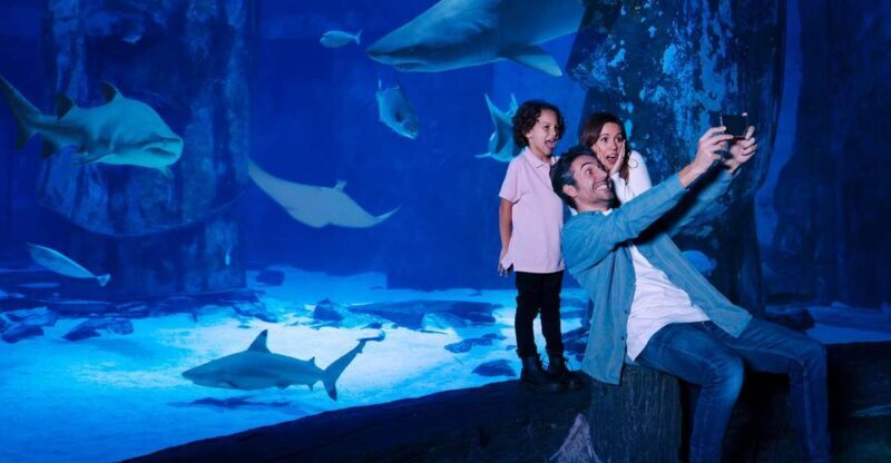 Mall of America: Sea Life Minnesota Aquarium Entry Ticket - What to Expect During Your Visit