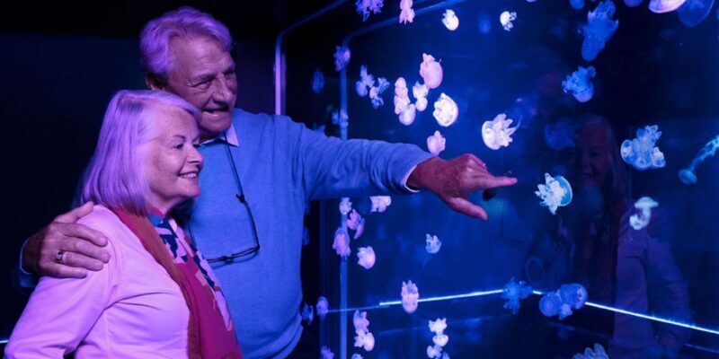 Mall of America: Sea Life Minnesota Aquarium Entry Ticket - FAQs