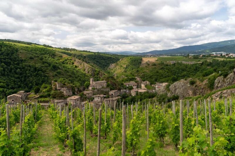 Malleval: Visit and Tasting with the P. Gaillard Family - Key Points