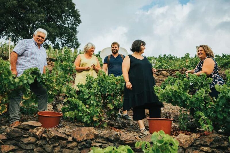 Malleval: Visit and Tasting with the P. Gaillard Family - A Closer Look at the Experience