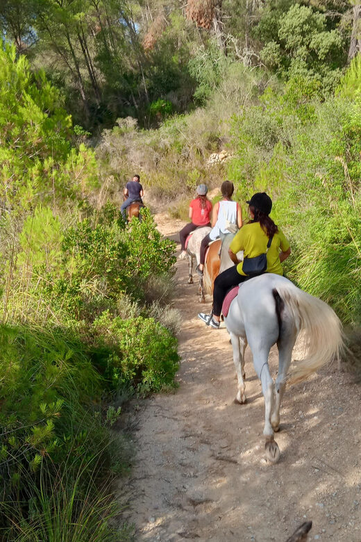 Mallorca: Activity, Antique Mallorca with Picnic - The Experience in Detail