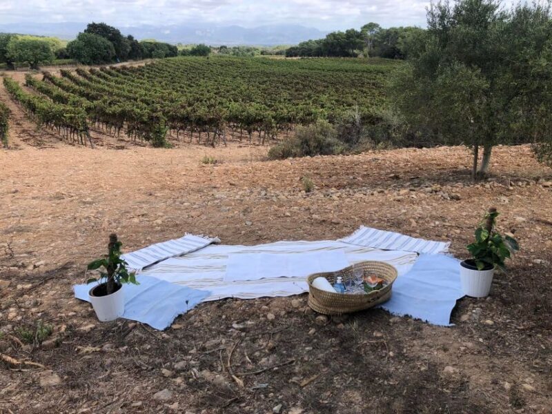 Mallorca: Activity, Antique Mallorca with Picnic - Final Thoughts