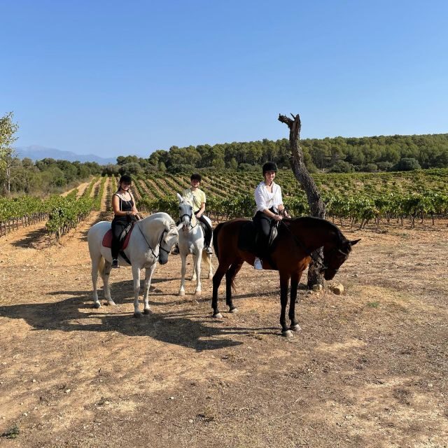 Mallorca: Activity with Horses, Antique Mallorca - What To Expect from This Horseback Experience