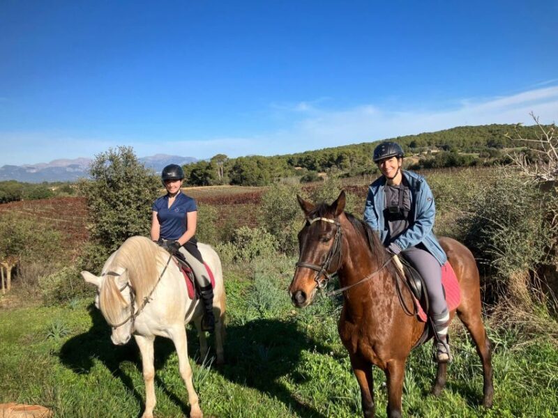 Mallorca: Activity with Horses, Antique Mallorca - Group Size and Practicalities